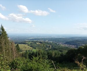 panorama